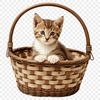 A transparent PNG image of a small kitten sitting inside a woven basket.