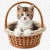 A clear background illustration of a kitten placed in a wicker basket, suitable for commercial or personal use.