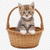 A cute kitten sitting in a woven basket on a transparent background.