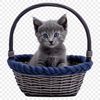 A transparent PNG file featuring a whimsical basket containing a kitten.