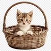 A digital illustration of a kitten sitting in a wicker basket with a clear background.