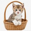 A clear transparent PNG image of a kitten in a colorful basket.