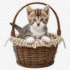 A transparent kitten sitting in a woven basket on a clear background.