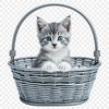 A transparent PNG image featuring a cute kitten sitting in a woven basket.
