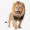 A large African lion with a tawny coat and shaggy mane, set against a clear background in high resolution PNG format.