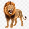 A high-resolution image of a lion with a clear background, suitable for commercial or personal use.