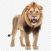Majestic Savannah Lion A large, yellow lion with a shaggy mane in the savannah.