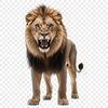 A large male lion with golden fur and a majestic mane stands on the savannah.