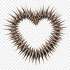 Free Transparent Hearts PNG Image Transparent love heart icon with clear background, suitable for print and web design.