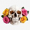 Illustrative skull with clear background in transparent PNG format for high-resolution designs.