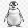 A small, fluffy penguin chick standing on a rock or ice.