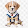 Transparent PNG Image of a Pup A high-resolution transparent PNG image of a cute puppy with a clear background, suitable for commercial use.