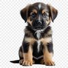 A cute puppy sitting on a grassy background with clear visibility.