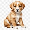 Playful Puppy on Clear Background A clear background PNG image featuring a playful dog.