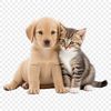 A playful mix of a puppy and kitten sitting together on a transparent background.