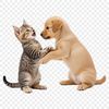 Cute Canine Feline Companion An adorable illustration of a dog and cat companionship featuring high-resolution details.