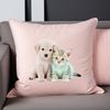 A cute puppy and kitten sitting together on a clear background, suitable for printing or digital use.