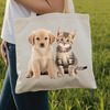 A playful puppy kitten sitting together on a neutral background.