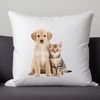 Whimsical Puppy Kitten Hybrid Illustration An illustration of a playful dog and cat mix breed in high resolution PNG format.