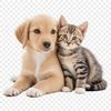 A transparent PNG image featuring a cute puppy kitten combination.
