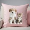 A mixed-breed puppy and kitten sitting together on a plain background.