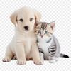 Whimsical Pet Mix A playful mix of a puppy and kitten sitting together.