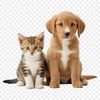 A high-resolution image of a puppy and kitten together on a transparent background.
