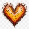 Beautiful Heart Shape Simple heart shape with clear background in high resolution PNG format.