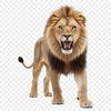 A high-resolution PNG image of a majestic lion with a clear background.