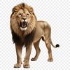 A close-up of a majestic lion's face with a clear background.