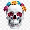 A large, transparent skull image with a clear background, ideal for sublimation printing.