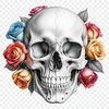 A transparent PNG skull graphic with a clear background.