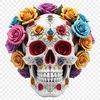 A high-resolution, transparent PNG image of a detailed skull with a clear background.