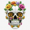 High Resolution Skull Illustration A high-resolution, transparent skull illustration with a clear background, suitable for various creative projects.