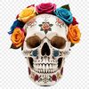 High Res Transparent Skull PNG Image A transparent high-resolution skull with a clear background, suitable for sublimation printing.
