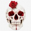 A single high-resolution skull with a clear background, suitable for commercial and personal use in various designs.