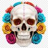 Simple Skull Icon A simple white skull icon with a clear background, suitable for web design and commercial use.