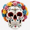 A clear, high-resolution skull graphic with a transparent background.