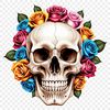 Free Transparent Skull PNG Download A transparent skull illustration with a clear background, suitable for sublimation and high-resolution printing.