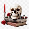 A transparent PNG image of a realistic skull with a clear background, suitable for commercial or personal use.