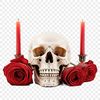 A high-resolution transparent image of a skull with a clear background, suitable for commercial or personal use.