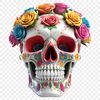 A transparent skull PNG image with a clear background, ideal for commercial or personal use.