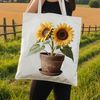 Bright Yellow Beauty on White Background A bright yellow sunflower in full bloom on a plain white background.