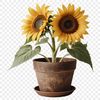 High-Res Flower Design for DIY Projects A high-resolution transparent sunflower in a simple flower pot, suitable for commercial and personal use.