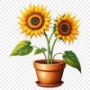 A high-resolution PNG image of a large sunflower with a clear background.