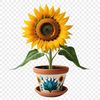 High Resolution Transparent Flower PNG Image High-quality transparent image of a bright yellow sunflower with clear background suitable for print or web design use.