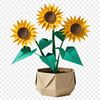 A high-resolution PNG image of a single sunflower in a clear background, ideal for commercial or personal use.