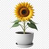 High-Res Flower Design PNG Image A high-resolution PNG image of a single sunflower in full bloom, set against a clear transparent background.