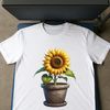 Large High-Res Sunflower PNG Image Large high-resolution sunflower in a clear background.