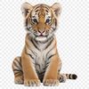 Majestic Tiger Silhouette in Clear Background A large, transparent PNG image of a tiger in a clear background.